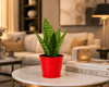 Snake Plant Sanctuary in Red Metal Pot
