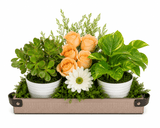 Green Babies & Floral Beauties Gift Tray