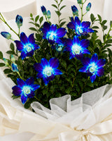 Magical Story Orchids Flower Bouquet