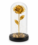 Radiant Forever Golden Rose