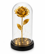 Radiant Forever Golden Rose