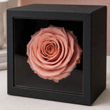 Forever Pink – Timeless Femme Rose