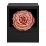Forever Pink – Timeless Femme Rose