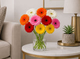 Cheerful Gerbera Blossoms Vase