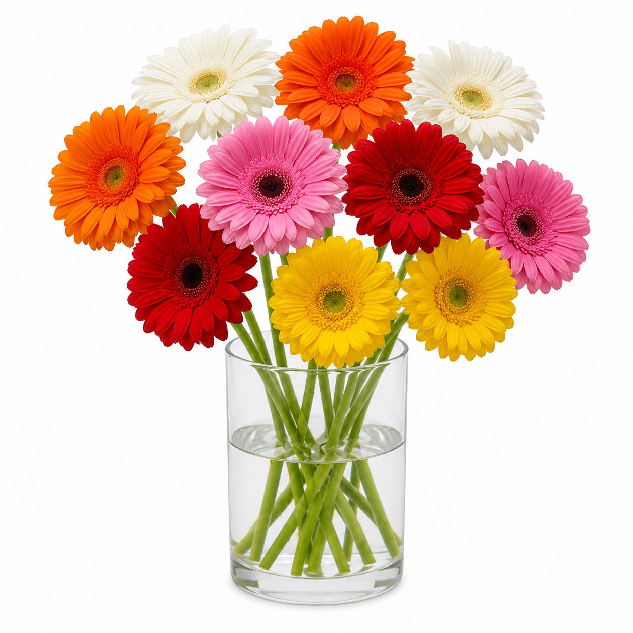 Cheerful Gerbera Blossoms Vase