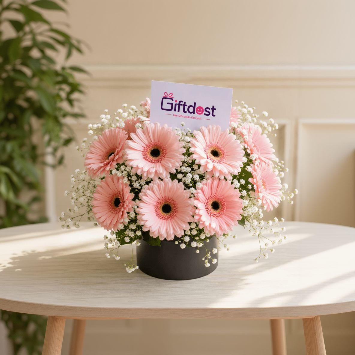 Blush Bloom Gerbera Elegance