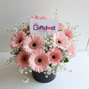 Blush Bloom Gerbera Elegance