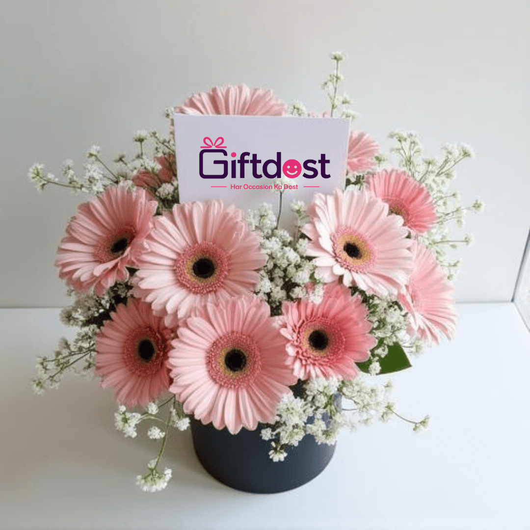 Blush Bloom Gerbera Elegance