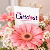 Blush Bloom Gerbera Elegance