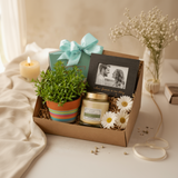 Evergreen Anniversary Memory Hamper
