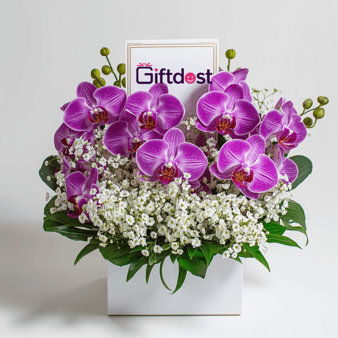 Royal Amethyst Orchid Bloom Box