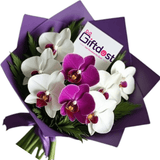 Royal Orchid Elegance Bouquet