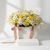 Sunshine Daisy Birthday Bloom Box