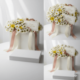 Sunshine Daisy Birthday Bloom Box